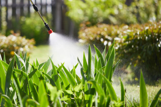 24/7 Emergency Mosquito Control experts in Melville, NY